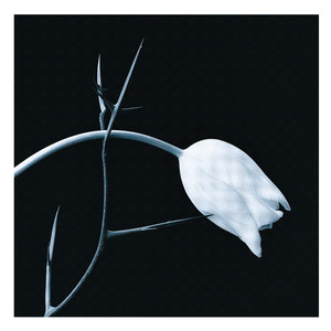 El Tango album