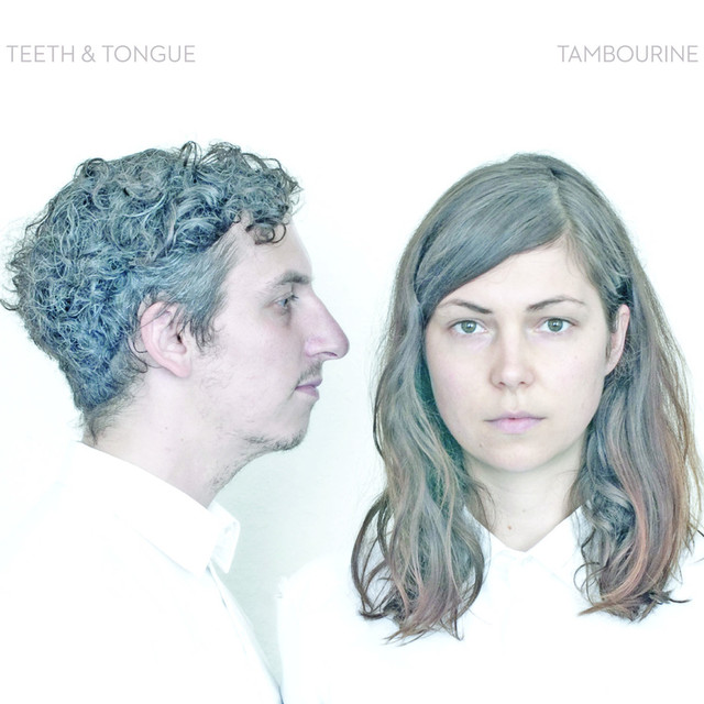 Tambourine cover
