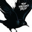 Blackbird cover