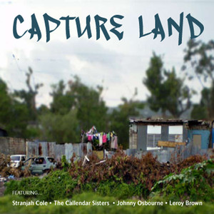 Capture Land cover