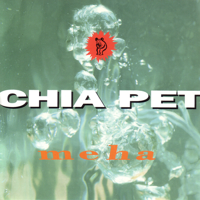 Chia Pet Photo