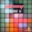 I House U Albumcover