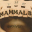 Evolver cover