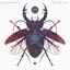 The Big Bug Albumcover