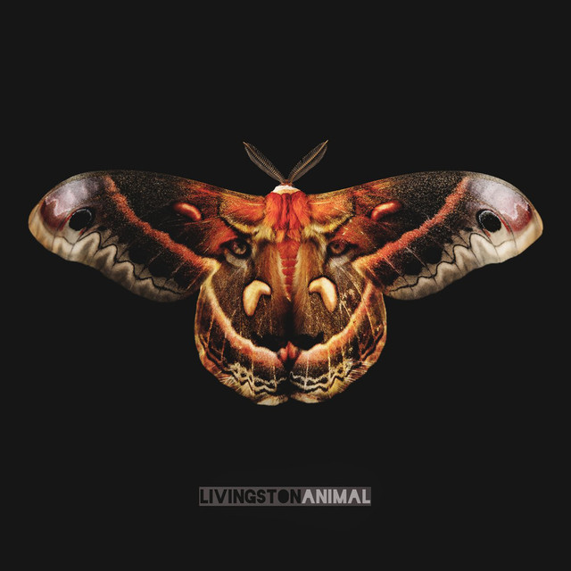 Animal cover
