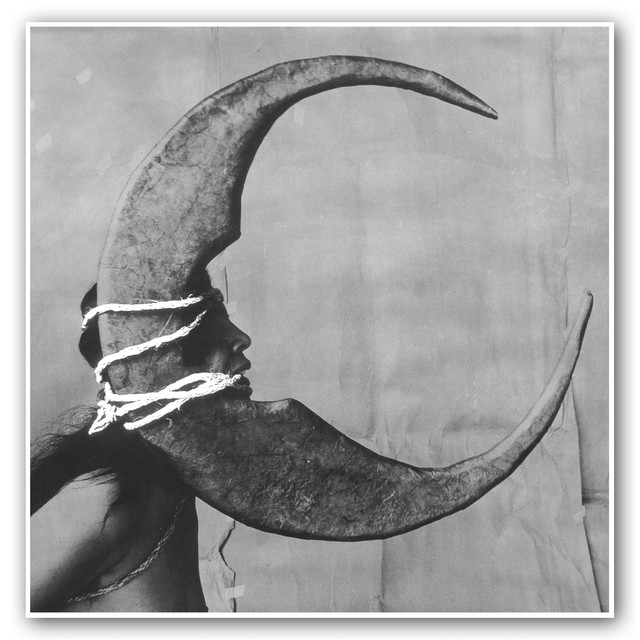 Moonlover cover