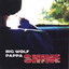 Shine Albumcover
