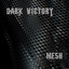 Mesh Albumcover