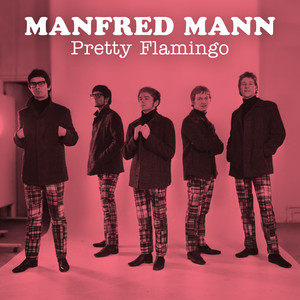 Pretty Flamingo album