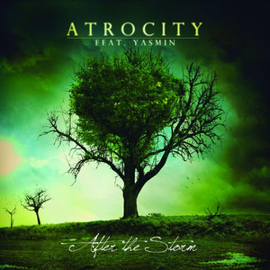 After the Storm album