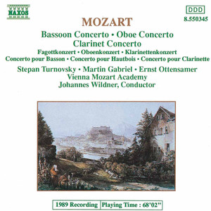 Bassoon Concerto / Oboe Concerto / Clarinet Concerto cover