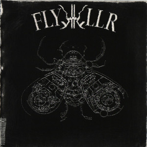 FlyKKiller cover