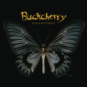 Black Butterfly album
