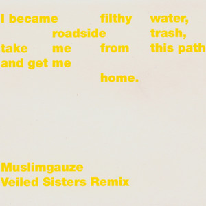 Veiled Sisters Remix cover