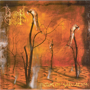 Fields of Salvation cover
