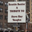 A Tribute To Steve Ray Vaughn Albumcover