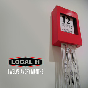 12 Angry Months album