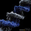 DNA cover