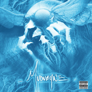 Mudvayne album