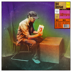 Mirrors cover