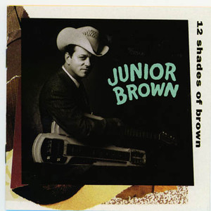 12 Shades of Brown cover