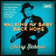 Walking My Baby Back Home cover