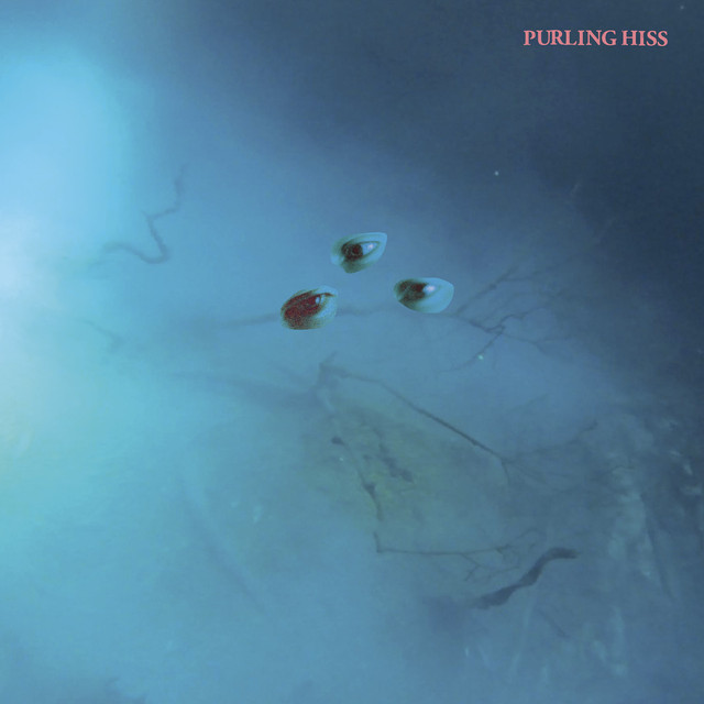 High Bias cover