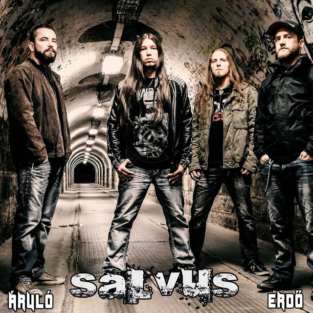 Áruló / Erdő cover