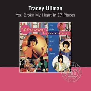 You Broke My Heart In Seventeen Places cover