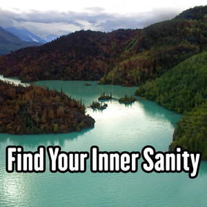 Find Your Inner Sanity album