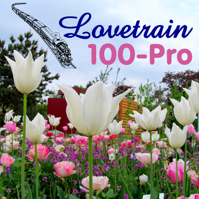 Lovetrain Photo