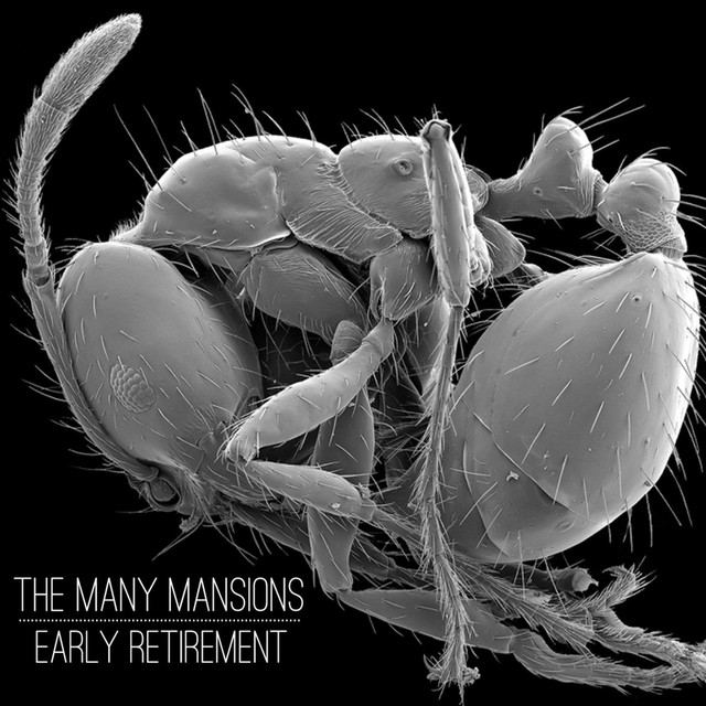 Many Mansions Photo