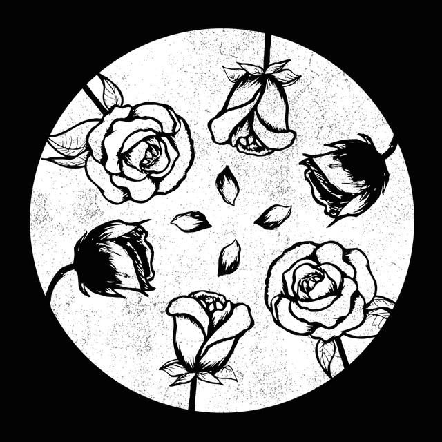 Never Sleep cover