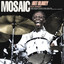 Mosaic cover