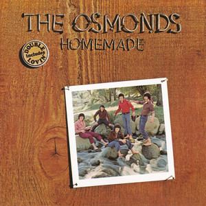Homemade cover