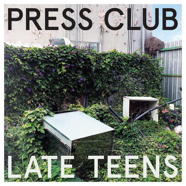 Late Teens cover