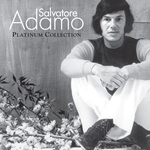 Platinum Collection album
