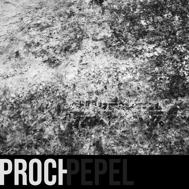 Proch Photo