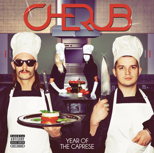 Spotify Exclusive Commentary album
