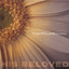 Everything Is Beautiful Albumcover