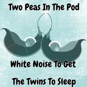 Twins cover