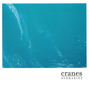 Submarine cover