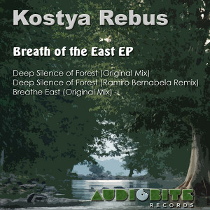 Kostya Rebus