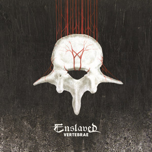 Vertebrae cover