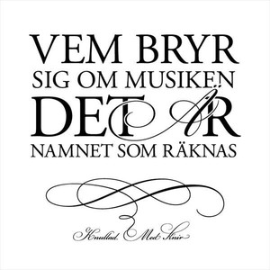 Gammal smutsig skitstövel cover