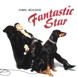 Fantastic Star album