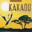 Kakadu Dreams Albumcover