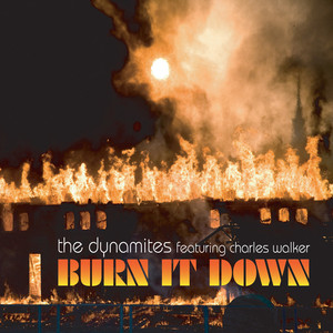 Burn It Down (feat. Charles Walker) album
