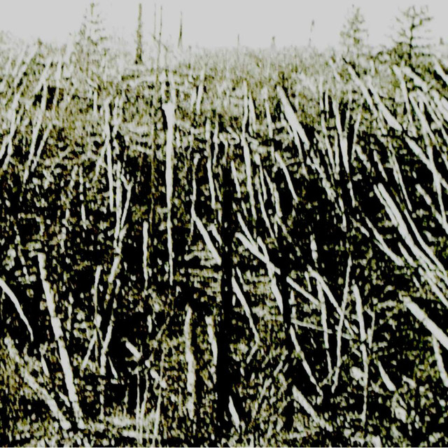 Próchno Photo
