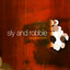 Version Born cover